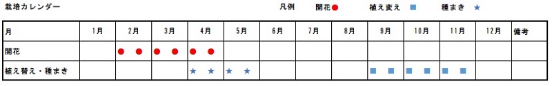 福寿草　栽培カレンダー