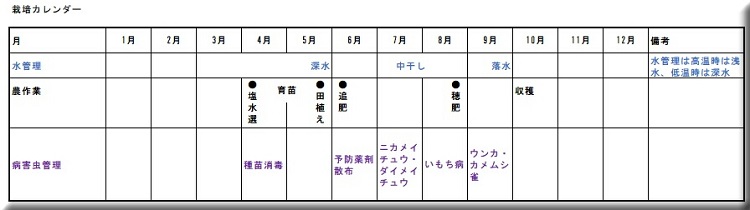 米の栽培暦　カレンダー