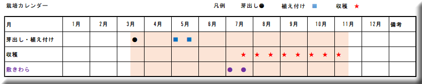 生姜　栽培暦　カレンダー